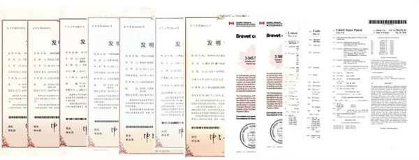 AG厅创园：稳健前行，开拓甜蜜新赛道